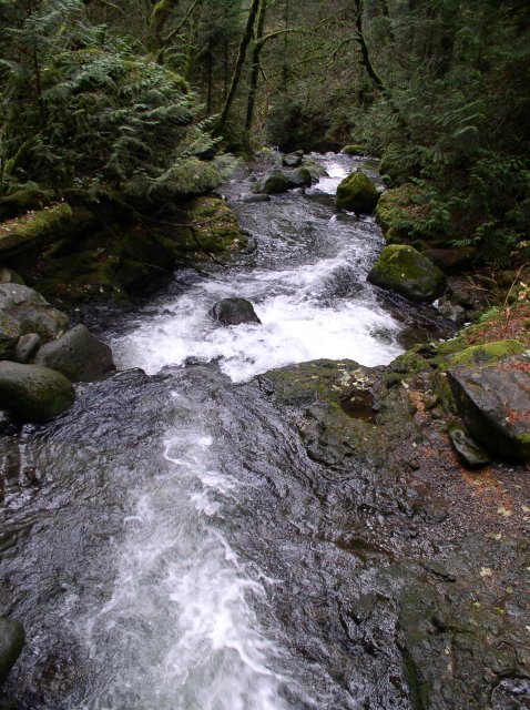 Waukeena Mult Falls 11.26.05 079 